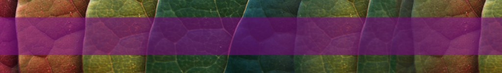 PHManie forniture per parrucchieri – Vendita all'ingrosso e dettaglio a Valdagno – Vicenza